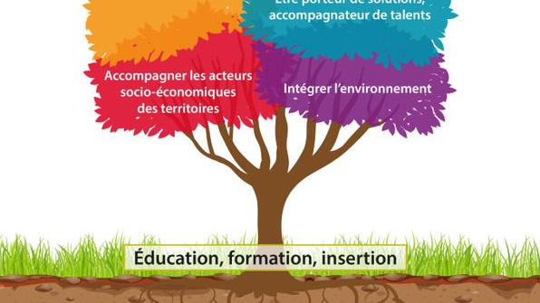 Image d'illustration de l'actualité Nouveau projet de Groupe